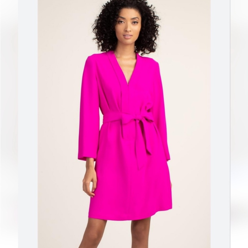Elegant Pink Women's Dress